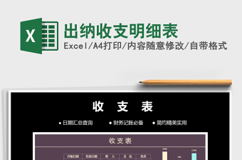 2025年出纳收支明细表