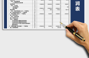 2025年财务报表-利润表