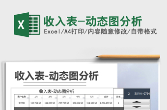 2025年收入表-动态图分析