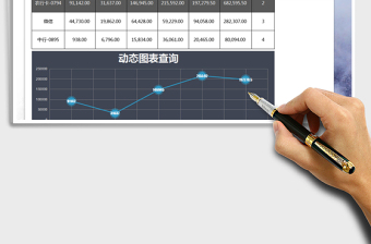 2025年收入表-动态图分析