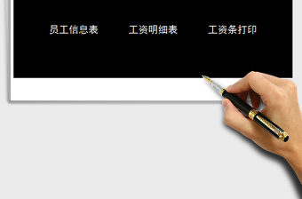 2025年工资管理系统