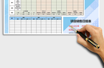 2025年项目销售日报