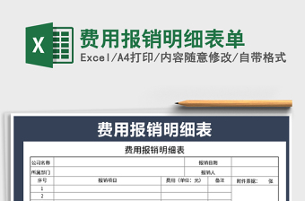 2025年费用报销明细表单