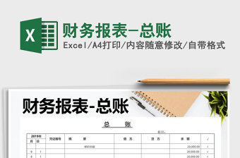 2025年财务报表-总账