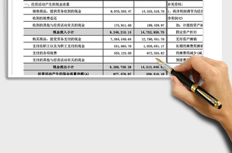 2025年现金流量表免费下载