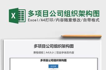 2025年多项目公司组织架构图