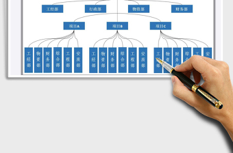 2025年多项目公司组织架构图
