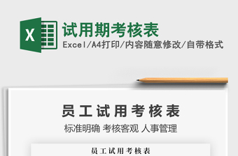 2025年试用期考核表