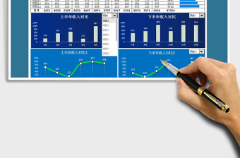 2025年年度收入总表-动态图标分析