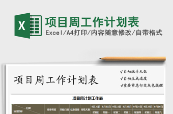 2025年项目周工作计划表