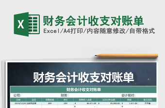 2025年财务会计收支对账单