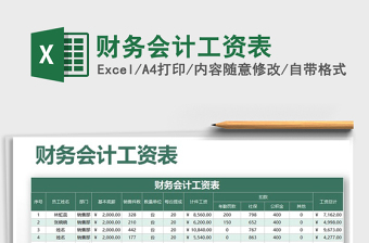 2025年财务会计工资表