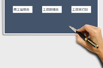 2025年工资管理系统