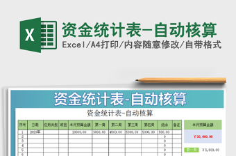 2025年资金统计表-自动核算