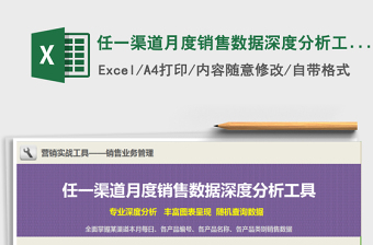 2025年任一渠道月度销售数据深度分析工具免费下载