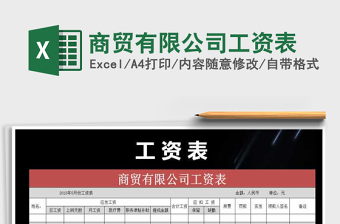 2024excel表格操作大全做公司工资表