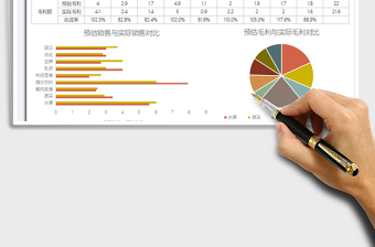 2025年销售分析报表