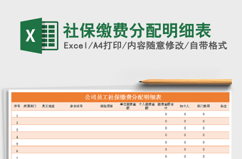 2025年社保缴费分配明细表