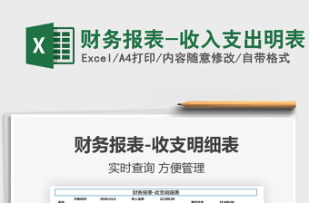 2025年财务报表-收入支出明表