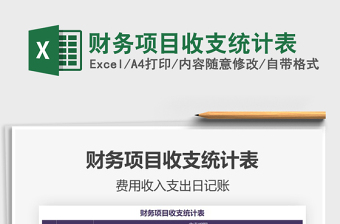 2025年财务项目收支统计表