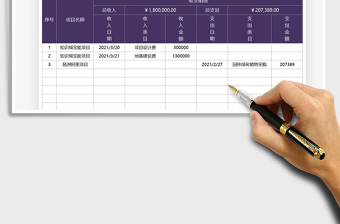 2025年财务项目收支统计表