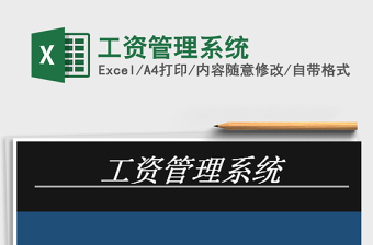 2025年工资管理系统