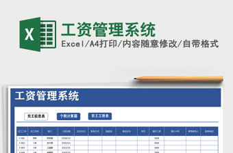 2025年工资管理系统