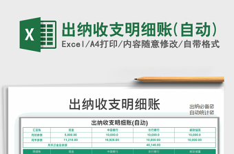 2025年出纳收支明细账(自动)