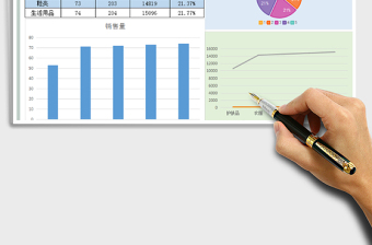 2025年销售数据总结分析明细图