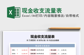2025年现金收支流量表