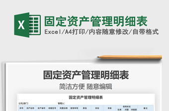 2025年固定资产管理明细表