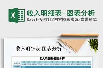 2025年收入明细表-图表分析