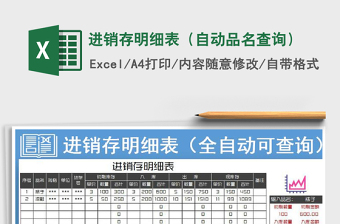 2025年进销存明细表（自动品名查询）