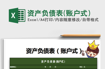 2025年资产负债表(账户式）