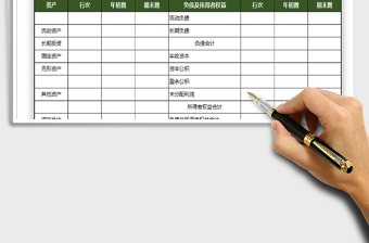 2025年资产负债表(账户式）
