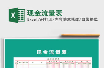 2025年现金流量表