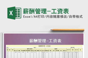 2025年薪酬管理-工资表免费下载