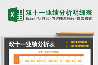 2025年双十一业绩分析明细表