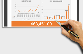 2025年双十一业绩分析明细表