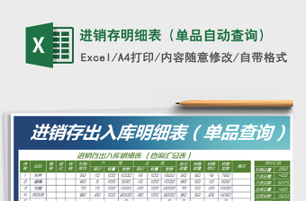 2025年进销存明细表（单品自动查询）