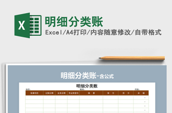 2025年明细分类账免费下载