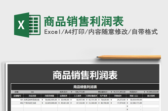 2025年商品销售利润表