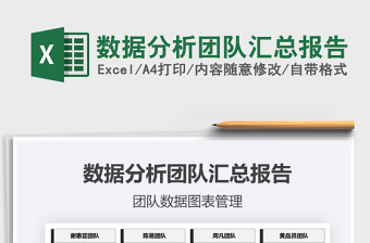 2025年数据分析团队汇总报告