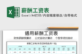 2025年薪酬工资表