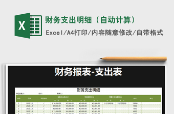 2025年财务支出明细（自动计算）