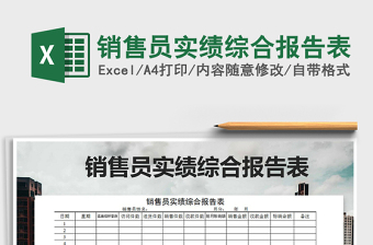 2025年销售员实绩综合报告表
