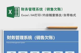 2025年财务管理系统（销售欠账）