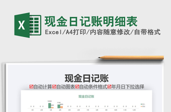 2025年现金日记账明细表
