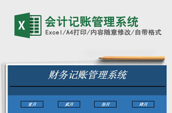 2025年会计记账管理系统