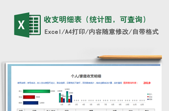 2025年收支明细表（统计图，可查询）
